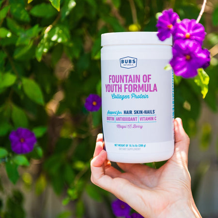 What is the Maqui Berry?