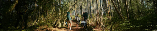 Two hikers with backpacks walking on a trail through a forest